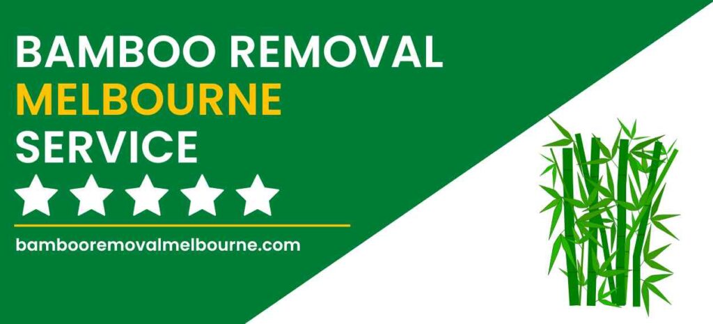 Bamboo Removal Melbourne