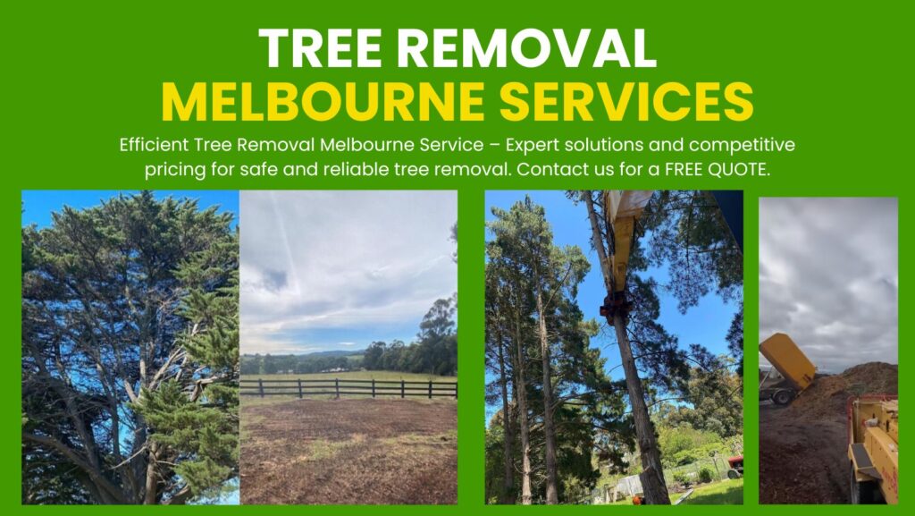 Tree Removal Melbourne