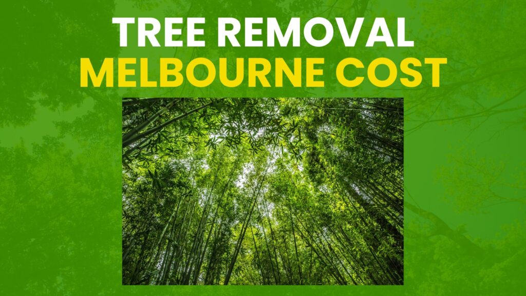 Tree Removal Melbourne Cost